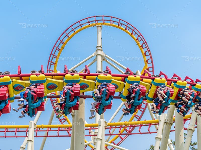 Timing and Strategy for Investing in Roller Coaster